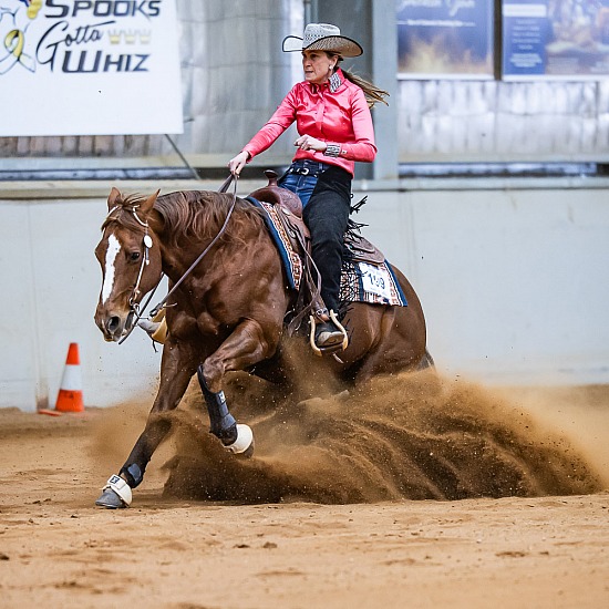 HOLLYWOOD BLUE CHIP