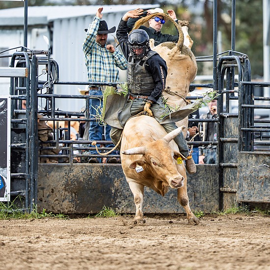 BULL RIDE RD 2