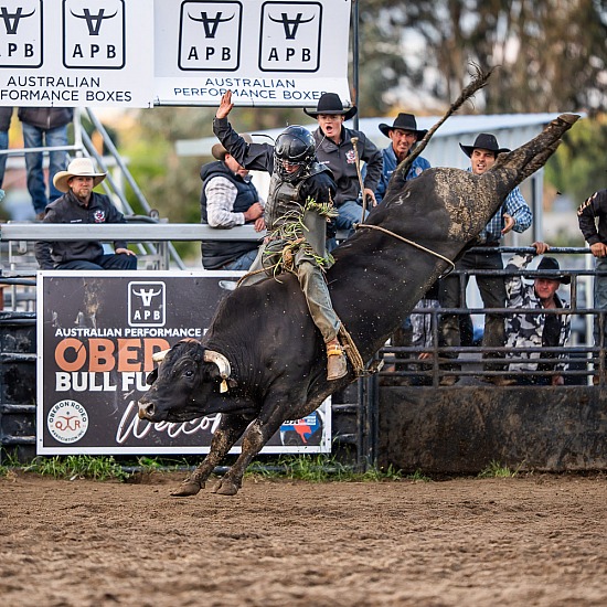 BULL RIDE RD 3