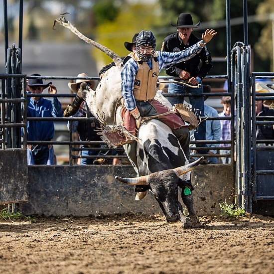 JUNIOR BULL RIDE