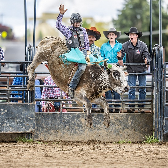 BULL RIDE RD 1