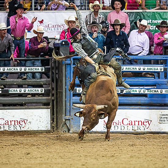 BULL RIDE