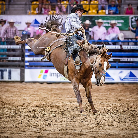 SADDLE BRONC