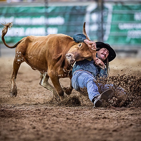 STEER WRESTLING