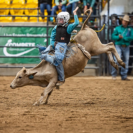 8-U11 STEER RIDE