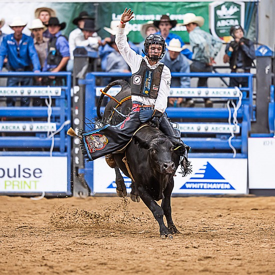 11-U14 STEER RIDE