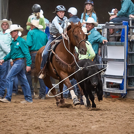 JUNIOR BREAKAWAY ROPING 8-U18yo
