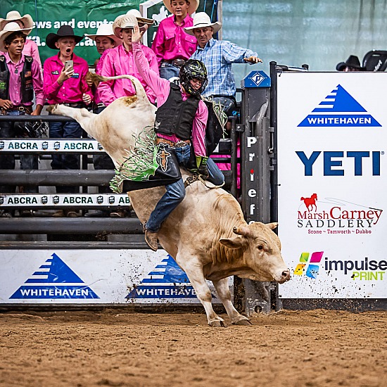 JUNIOR BULL RIDE 14-U18yo