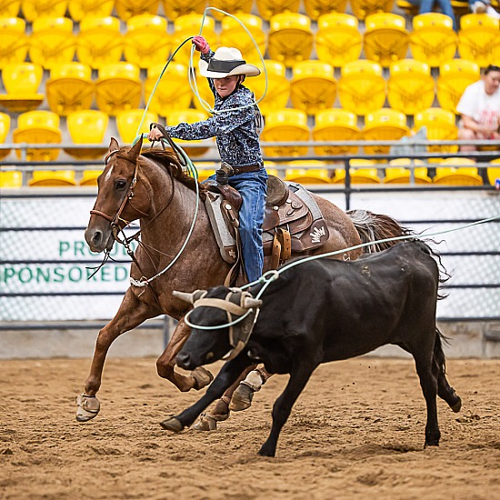 JUNIOR TEAM ROPING