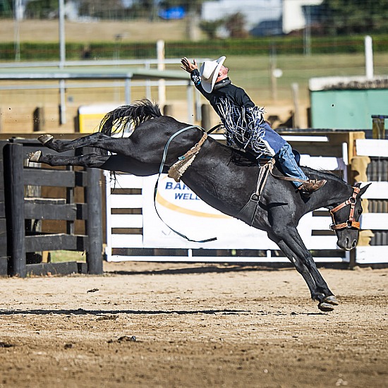 BAREBACK