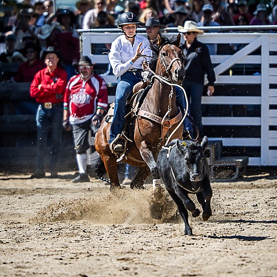 BREAKAWAY ROPING