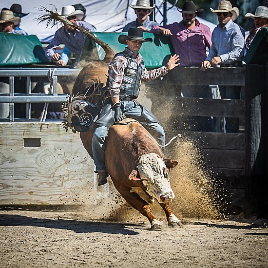 BULL RIDE
