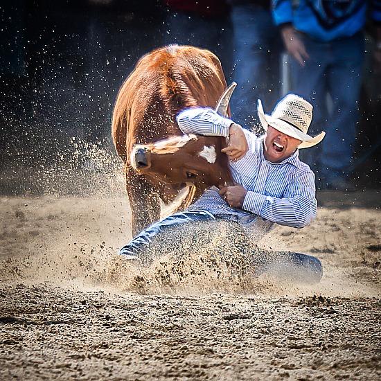 STEER WRESTLING