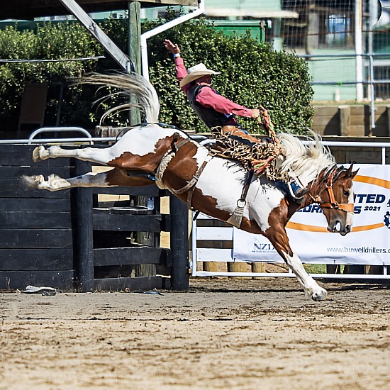 SADDLE BRONC