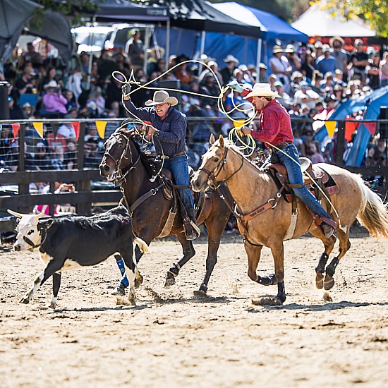 TEAM ROPING