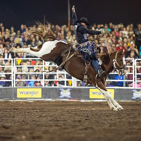 XTREME BRONCS