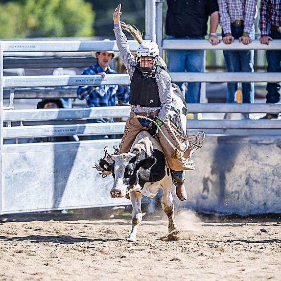 8 - U11 JUNIOR STEER RIDE