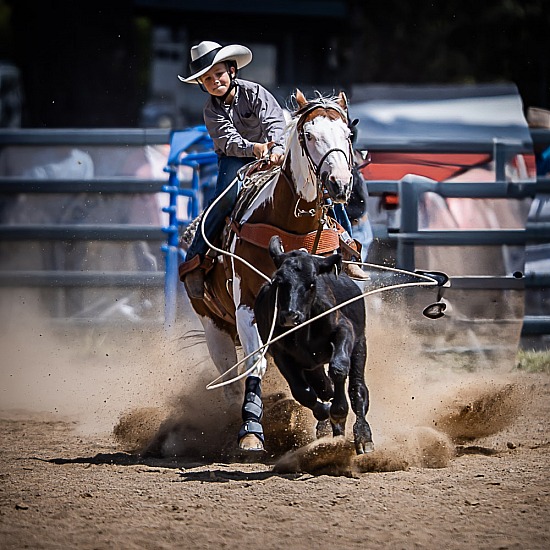 JUNIOR BREAKAWAY ROPING
