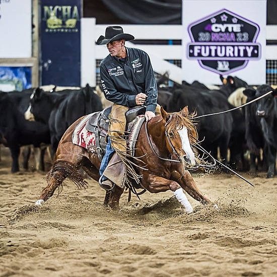 NCHA HORSE GALLERIES